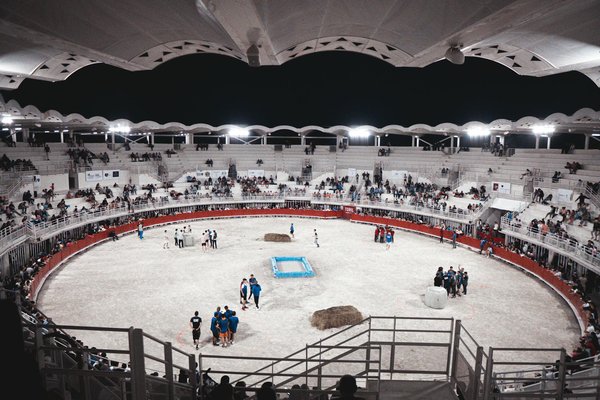 Où et comment suivre les championnats de boxe en ligne